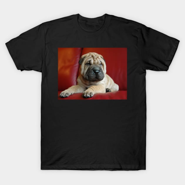 Baby Shar Pei T-Shirt by kawaii_shop